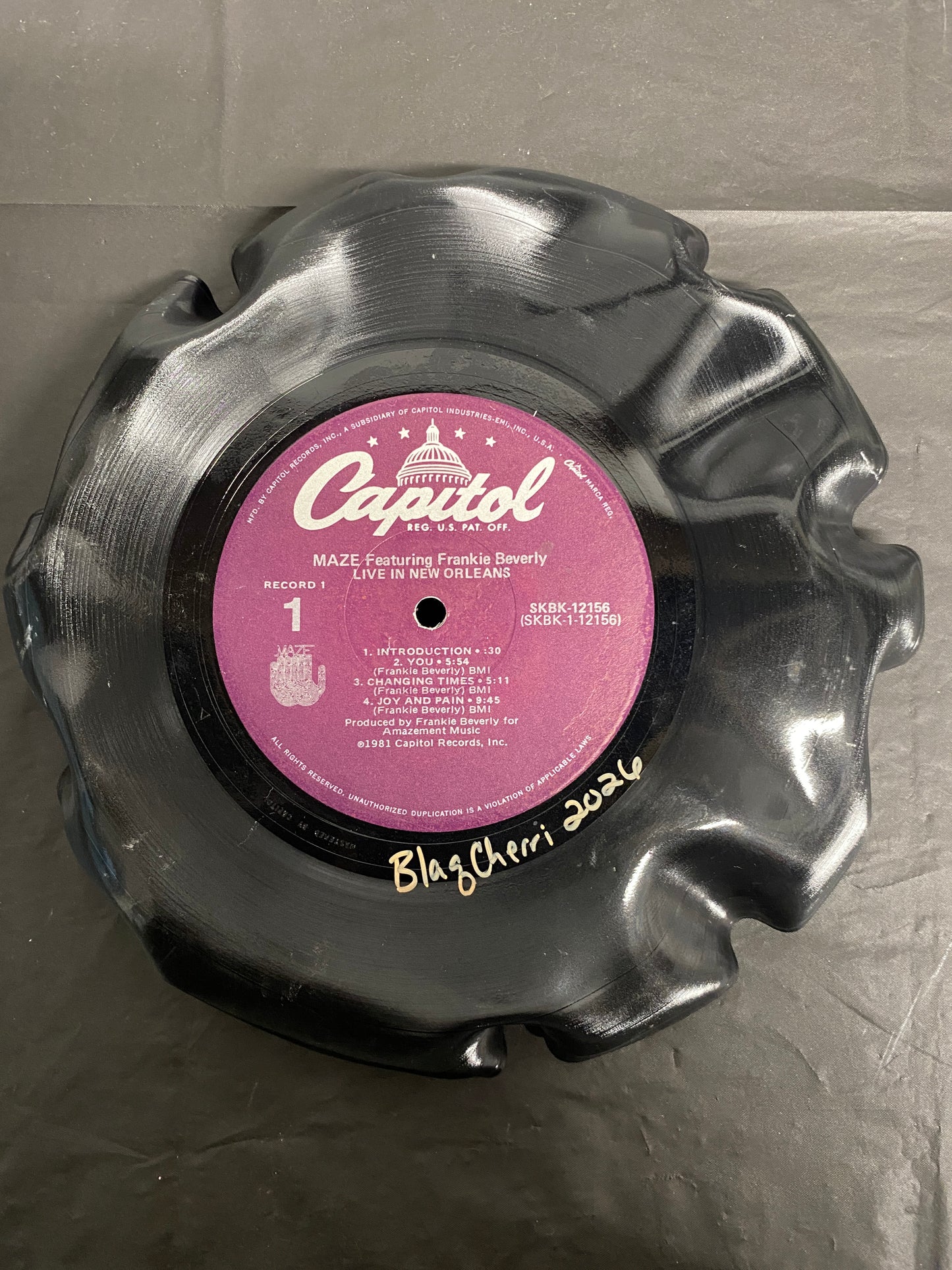 Vinyl Record Bowl