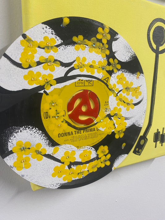 Record Player Art