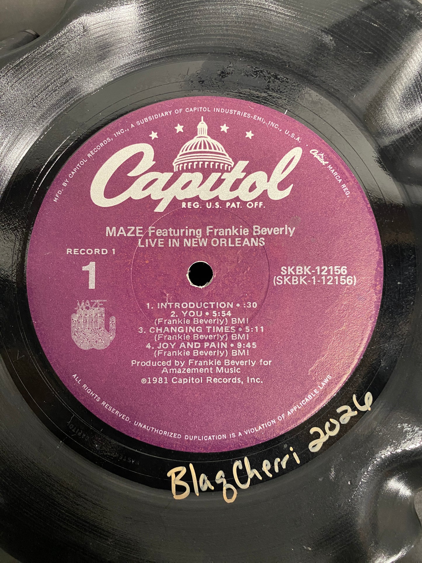 Vinyl Record Bowl
